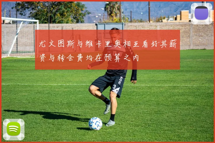 尤文图斯与维卡里奥相互看好其薪资与转会费均在预算之内