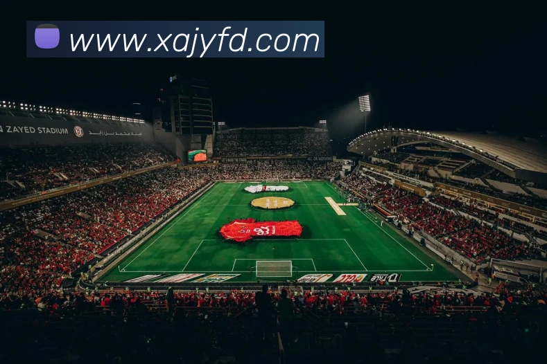 beat365官方网站入口平台生态图