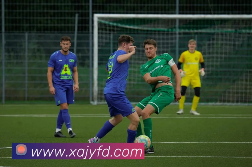 beat365官方网站入口全站App